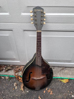 Harmony Monterey Mandolin Guitar1960’s repair restore vintage 8 string