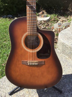 Art and Lutherie Acoustic Guitar