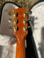 2006 Gibson Les Paul Standard DC Plus - flame top!