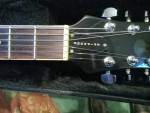 Guitar+ Amp head+4/12 cabinet.