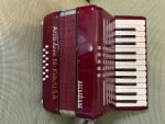 Accordion 12 bass accordion