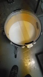 Pearl Free Floating Snare with Maple and Steel Shells