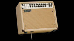 Mesa Boogie Rosette 300 One:Ten 1x10 Acoustic Combo Amp
