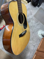 Lotus Guitar