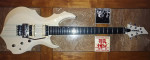 Edwards/ESP Forest E-130GT (Japan) 2009 7 Piece Neck Thru ~ SD PU ~ FR