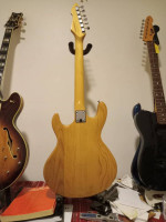 Peavey T-130 Solid Body Electric Guitar