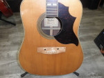 Escudero 880-W  Gibson Lawsuit Vintage 70s Japan Acoustic Guitar AS IS