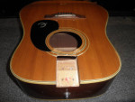 Epiphone FT 145 Made in Japan Body/ Repair