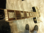 **1976 Electra Les Paul (RARE / LAW SUIT)