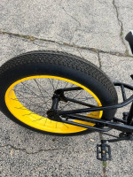 Mongoose Brutus Fat Tire Bike