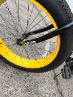Mongoose Brutus Fat Tire Bike