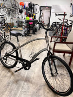 Townie Electra bike