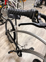 Townie Electra bike