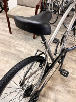 Townie Electra bike