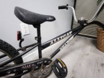 20 ' Wheel Ally Cat Shadow Kids Trail-a-bike Trailer ages 5-8