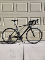 Giant Defy 1