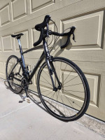 Giant Defy 1