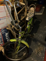 Vintage bikes!!!