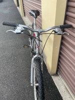 Diamondback Sorrento