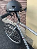 Diamondback Sorrento