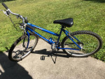 Raleigh USA Bikes (2 available)