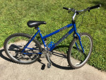 Raleigh USA Bikes (2 available)