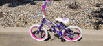 huffy sea star