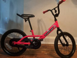 Red Trek Jet Series Sixteen bicycle kids