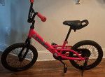 Red Trek Jet Series Sixteen bicycle kids
