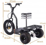 MOTOTEC 48V/12AH 1200W ELECTRIC TRIKE MT-TRK-1200

