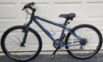 TREK bike in excellent condition