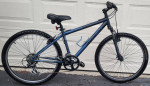 TREK bike in excellent condition