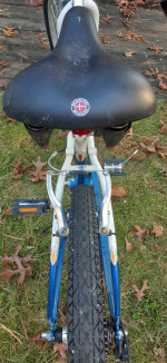 Schwinn Landmark bicycle