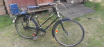 Early 1970s Phillips 3-speed Cruiser