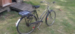 Early 1970s Phillips 3-speed Cruiser