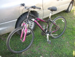 Schwinn Mountain Bike
