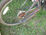 Schwinn Mountain Bike