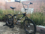Seeking to Acquire Mongoose, Hutch, Redline, Torker, Kuwahara, GT, CW