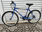 48cm Hybrid Fuji Sandblaster