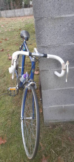 Bianchi Strada LX bicycle