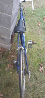 Bianchi Strada LX bicycle