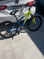 Nushiki mnt bike