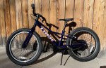 Kids starter bike: Trek Precaliber 20