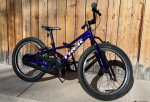 Kids starter bike: Trek Precaliber 20