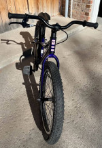 Kids starter bike: Trek Precaliber 20
