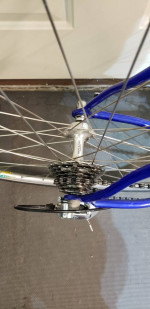 1999 Schwinn Peloton