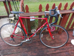 Vintage Giant Perigee