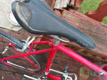 Vintage Giant Perigee