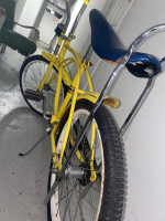 vintage 1970s sting ray muscle bicycle