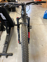 Fat Tire Tres El Oso